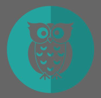 WiseOwlLogo